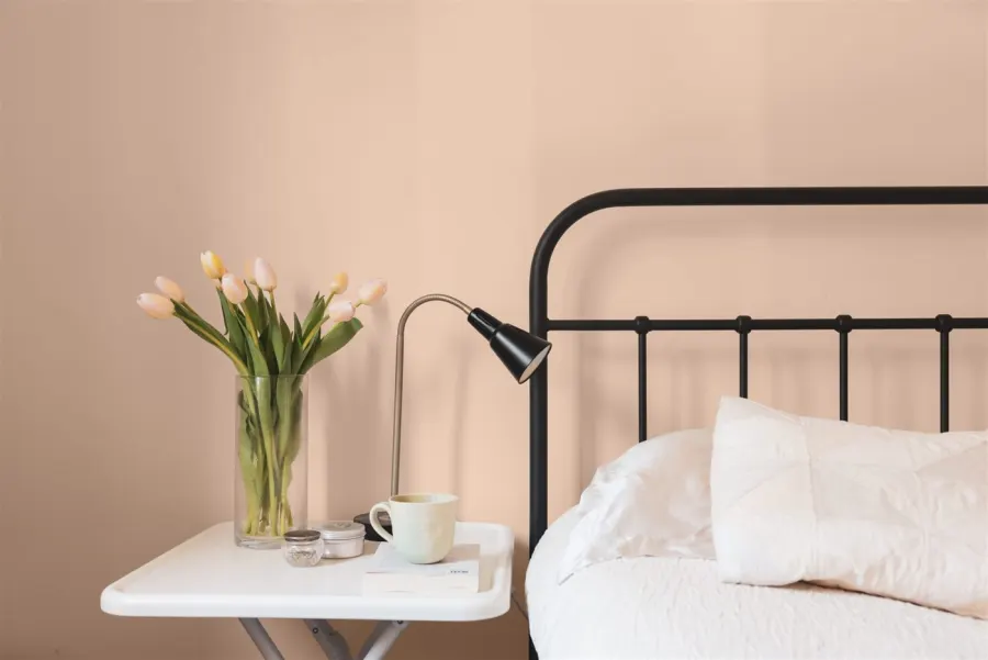 Спальня в цвете Gypsum Rose DET452 Dunn-Edwards