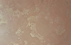 Screenshot_5