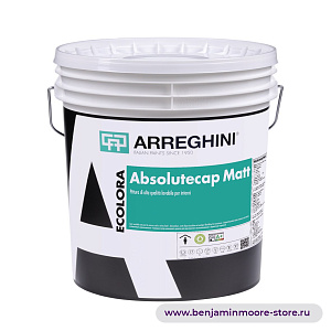 Arreghini Ecolora Absolutecap Matt супермоющаяся матовая интерьерная краска на водной основе с бархатистой поверхностью в цвете OC-136 Celery Salt