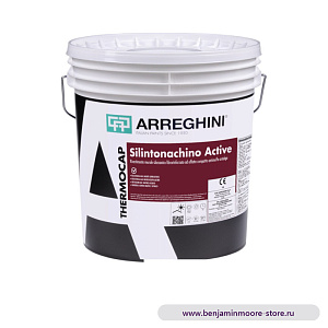 Arreghini Silintonachino Active силоксановое покрытие для стен, укрепленное фиброй с компактным эффектом с противоводорослевым и антибактериальным эффектом в цвете 0371 Fiorito