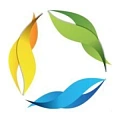 Color Style 