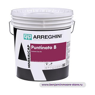 Декоративное покрытие Arreghini Puntinato B / Аррегини Пунтинато известь