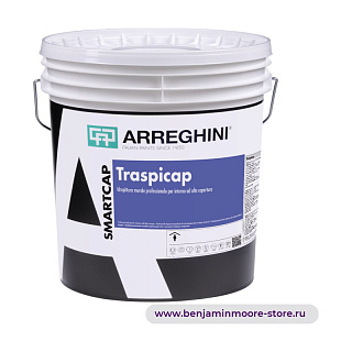 Краска Arreghini Traspicap / Аррегини TRASPICAP профессиональная клеевая краска для стен с высокой степенью покрытия