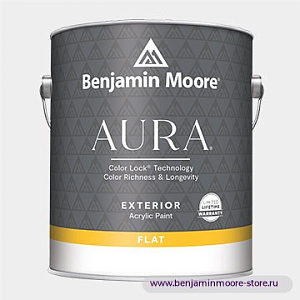 Benjamin Moore 629 Aura® Exterior Flat Finish Матовое покрытие  в цвете OC-136 Celery Salt